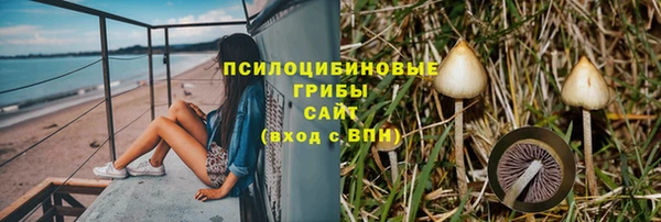 первитин Бородино